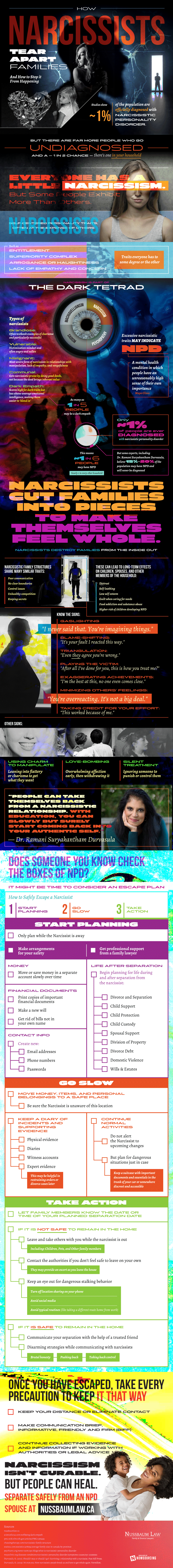 How Narcissists Destroy Families Infographic