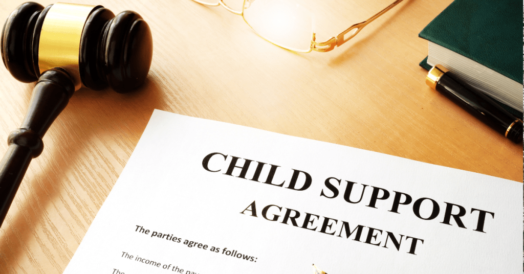 Expert child support guidelines