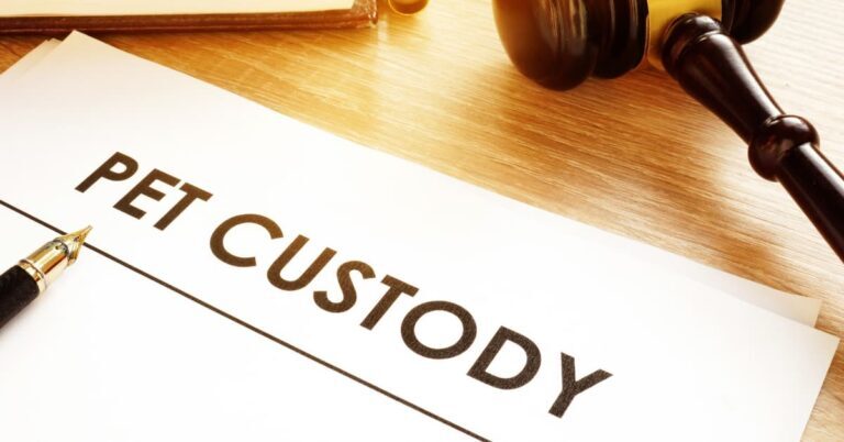 Pet custody in divorce