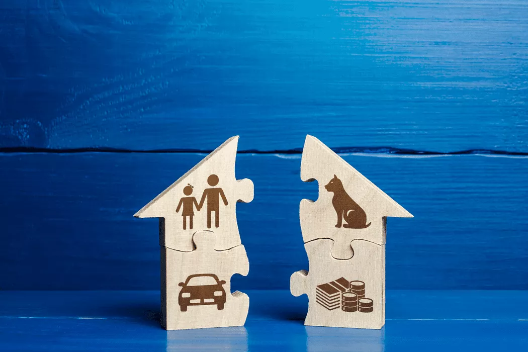 Two wooden house-shaped puzzle pieces on blue wooden background, one featuring icons of a parent and child and a car, the other with a dog and money symbols, representing division of family assets and responsibilities, symbolizing family law matters handled by Nussbaum Family Lawyers in Toronto.