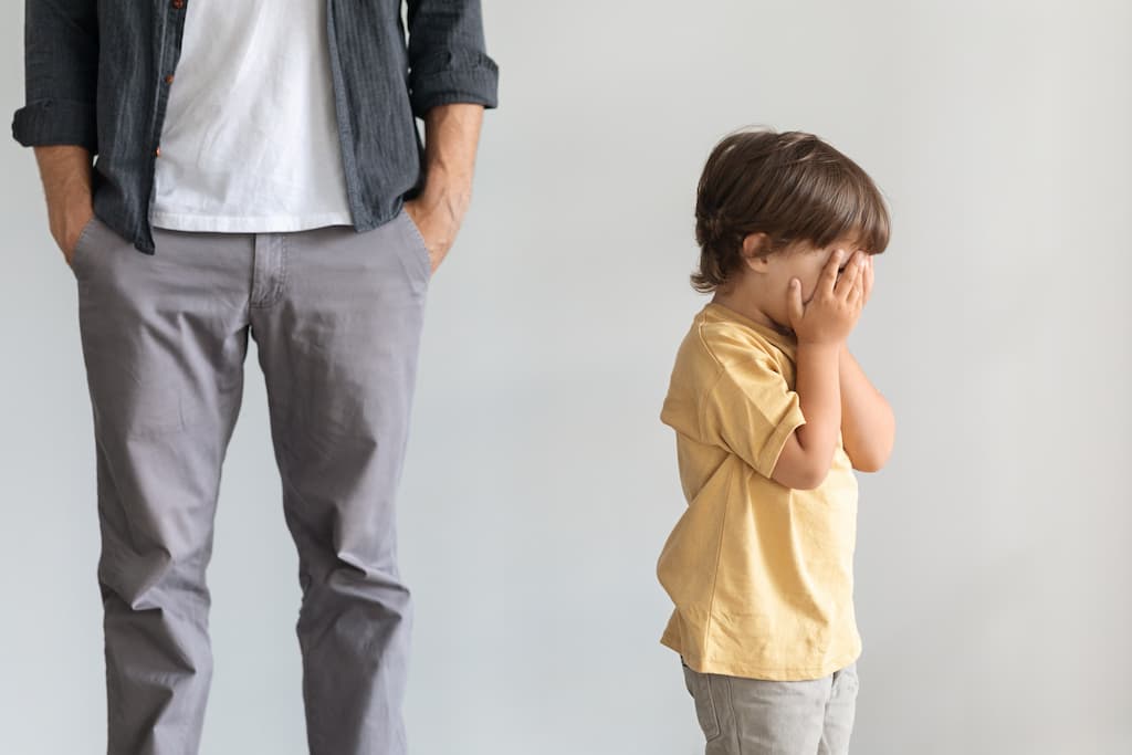 Parental Alienation cases in Ontario