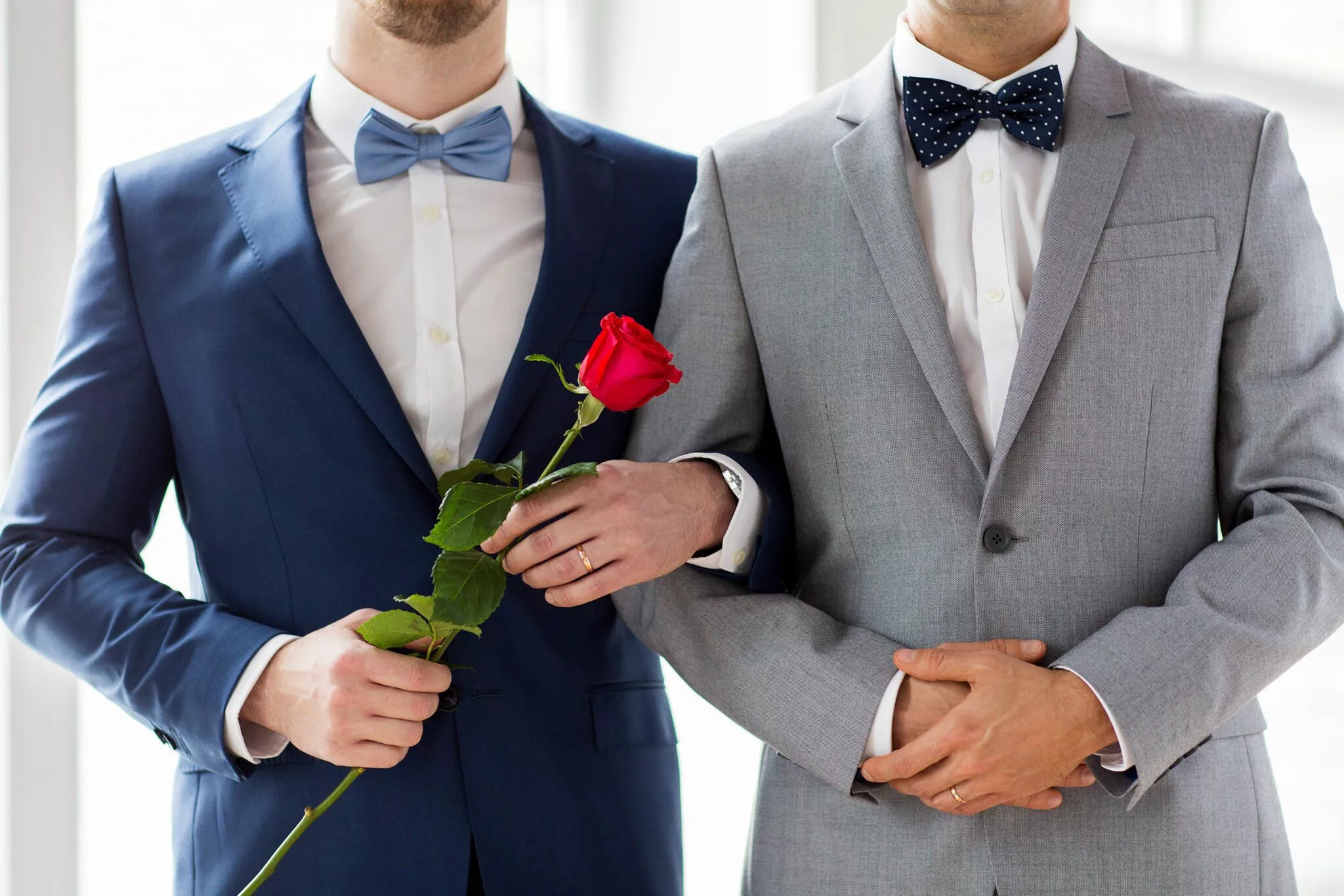 Two men in suits and bow ties, one holding a red rose, symbolizing a same-sex couple possibly related to family law services in Toronto by Nussbaum Family Lawyers